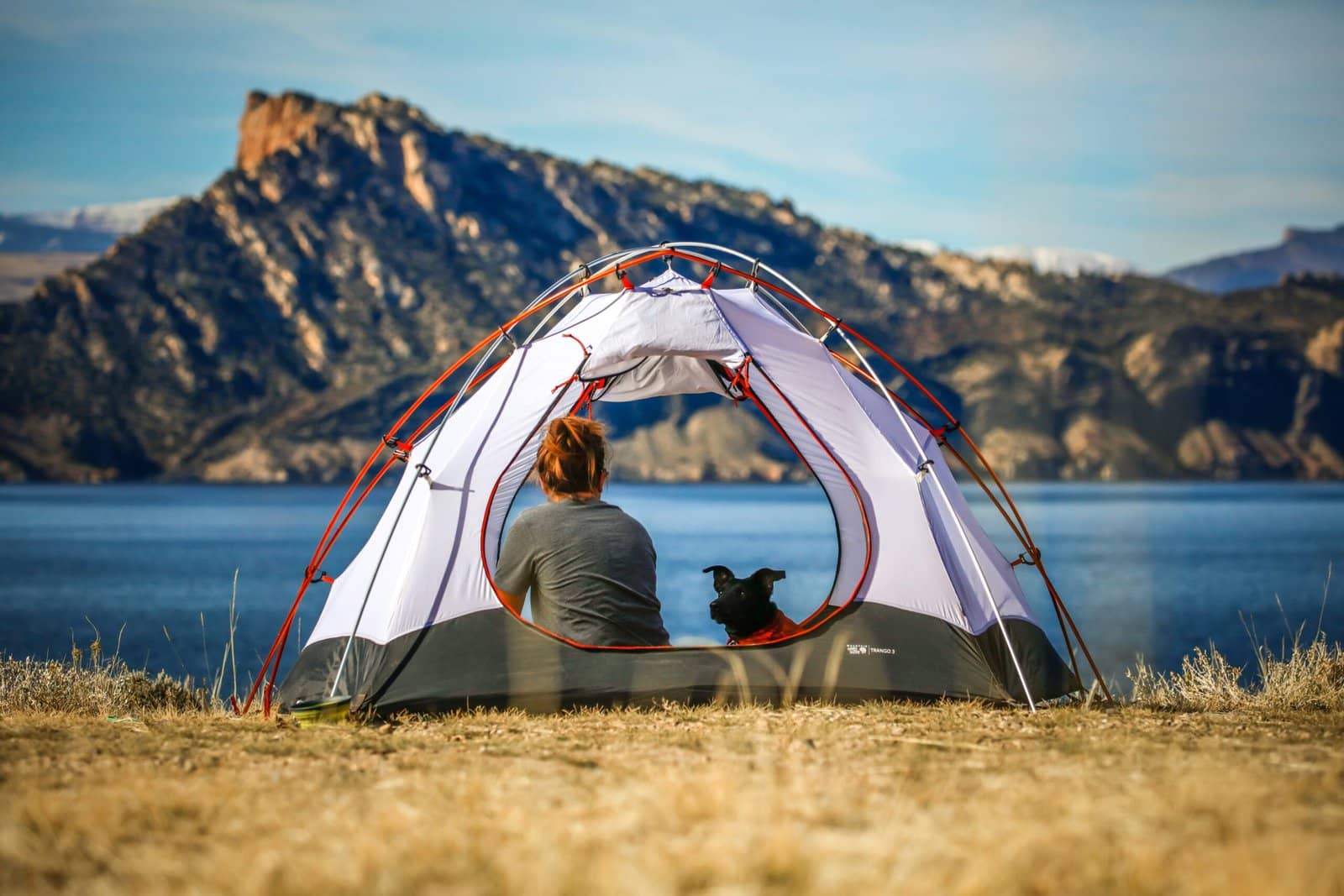 Essentials While Tent Camping With Your Dog